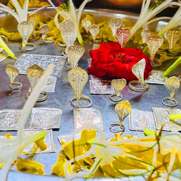 Kaalsarp Dosh Nivaran Puja
